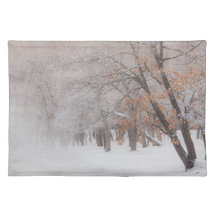 Winter Snow Lake Kussharo Cloth Placemat