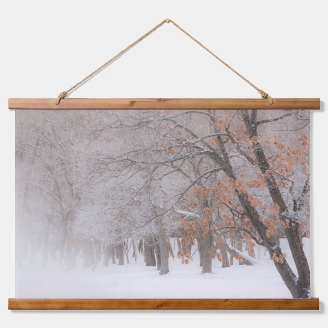 Winter Snow | Lake Kussharo Hanging Tapestry (Front)
