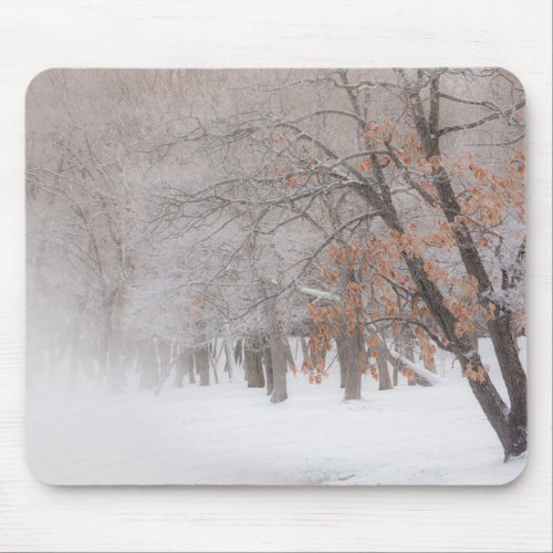 Winter Snow  Lake Kussharo Mouse Pad