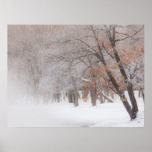 Winter Snow Lake Kussharo Poster