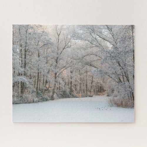 Winter Snow Landscape 520 pieces Jigsaw Puzzle