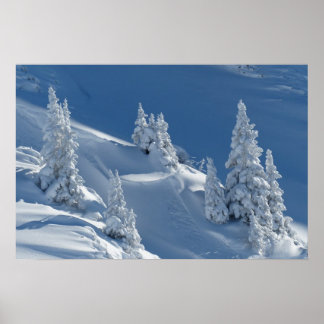 winter snow landscape poster