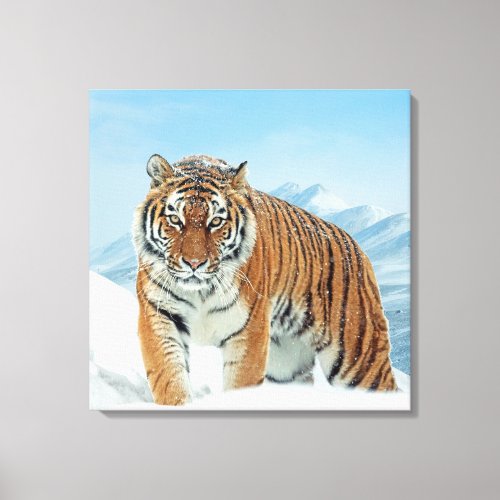 Winter Snow Nature Photo Tiger Mountains Canvas