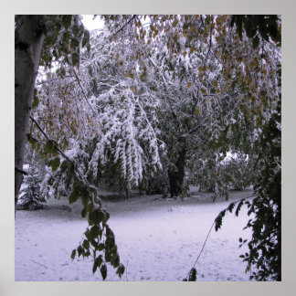 Winter Snow Poster
