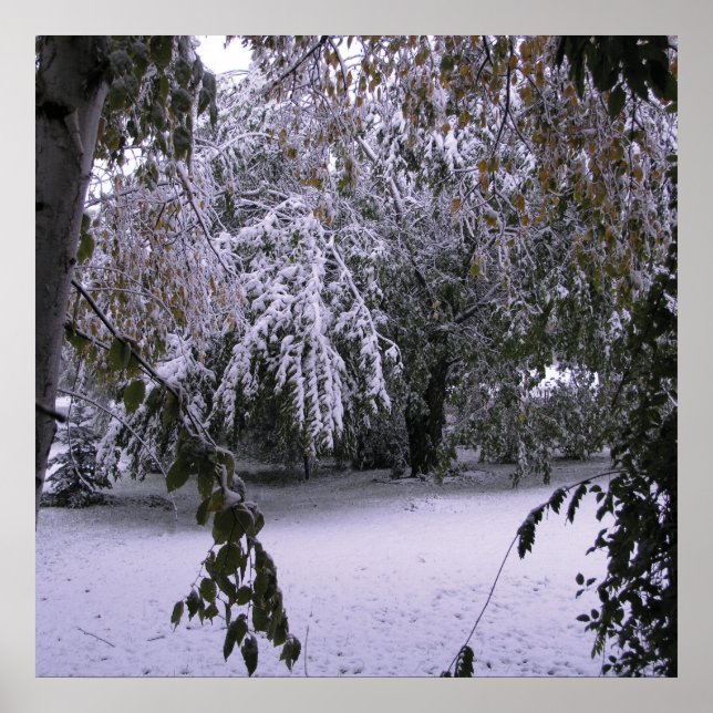 Winter Snow Poster (Front)