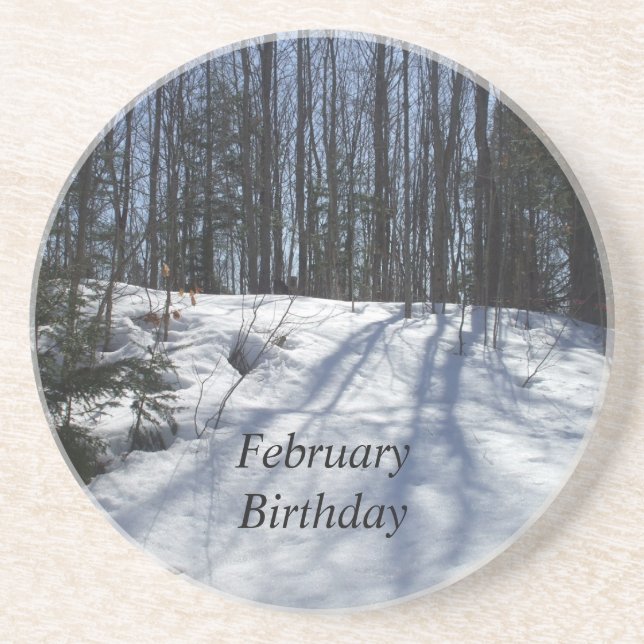 Winter Snow Scene-February Birthday Drink Coaster (Front)