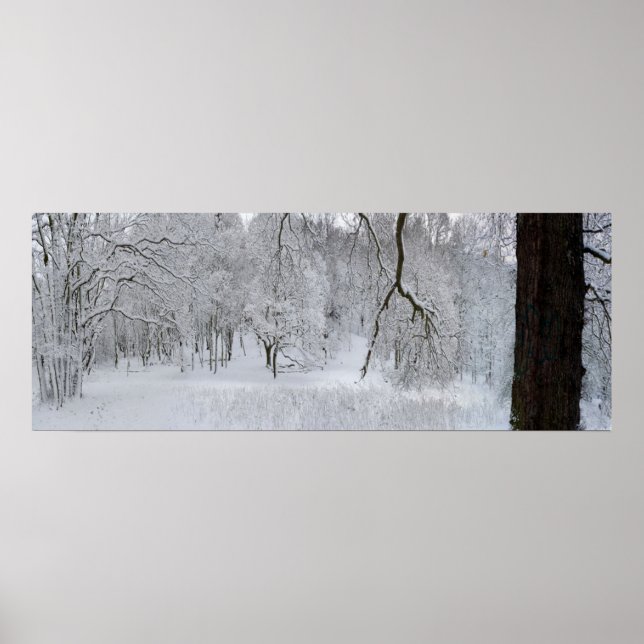 Winter Snow Scene Poster Print (Front)