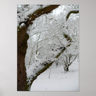 Winter Snow Scene Poster Print