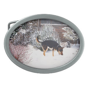 winter snow scene with black and tan dog belt buckle