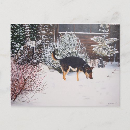 Winter snow scene with cute black and tan dog postcard