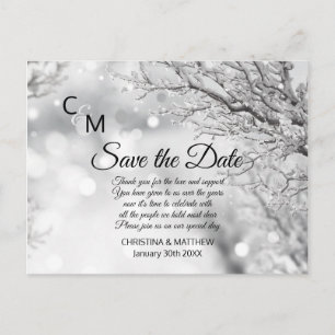 Winter Snow Snowflakes Wedding SAVE THE DATE Announcement Postcard