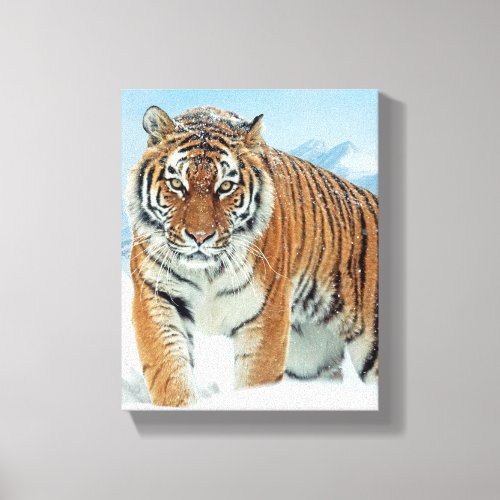 Winter Snow Tiger Mountains Nature Photo Canvas