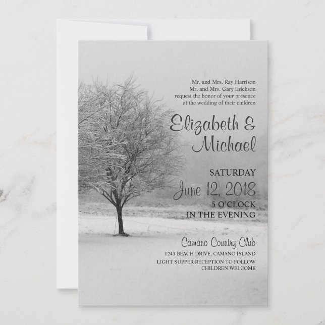 Winter Snow Wedding Invitation (Front)