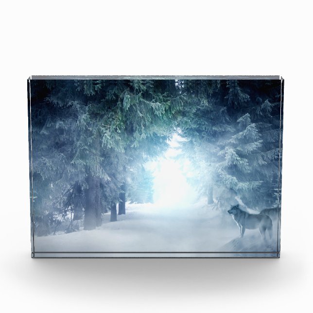Winter Snow with Wolves in Evergreen Forest Photo Block (Front)