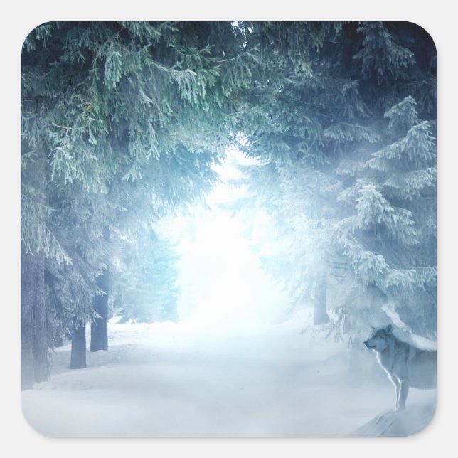 Winter Snow with Wolves in Evergreen Forest Square Sticker (Front)