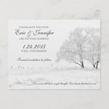 Winter Snowfall Classic Wedding Save The Date Announcement Postcard by loveisthething at Zazzle