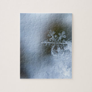 Winter Snowflake Jigsaw Puzzle