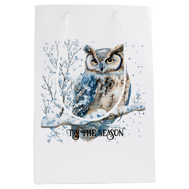 Winter Snowflakes Blue Owl Christmas Snow Medium Gift Bag (Front)