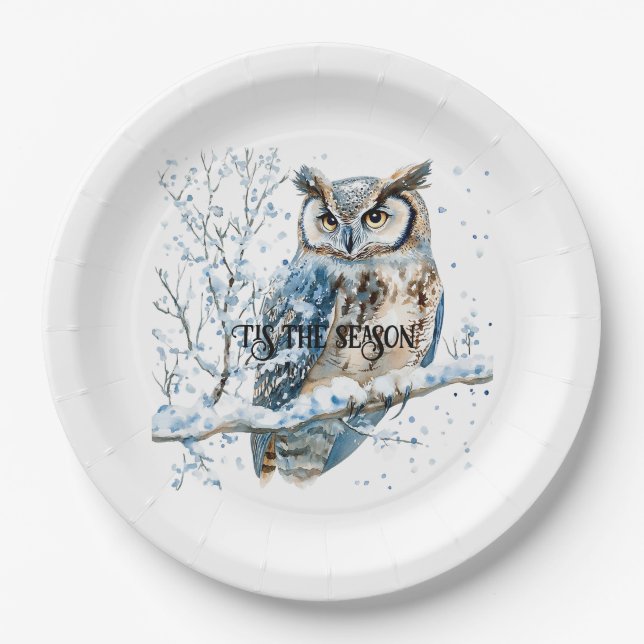 Winter Snowflakes Blue Owl Christmas Snow Paper Plates (Front)