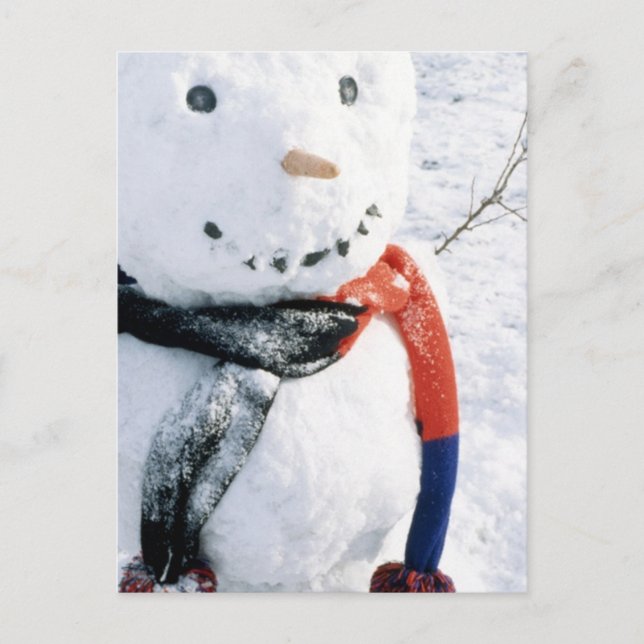 Winter  Snowman Cards and Stickers (Front)