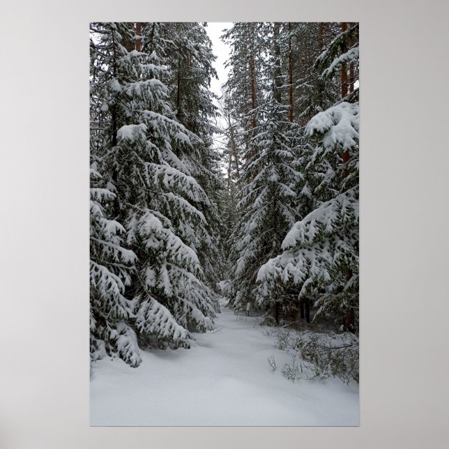 Winter Snowy Evergreen Forest Customize Poster (Front)