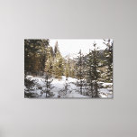 Winter Snowy Mountain Scene in Montana Canvas Print