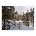 Winter Snowy Mountain Scene in Montana Card