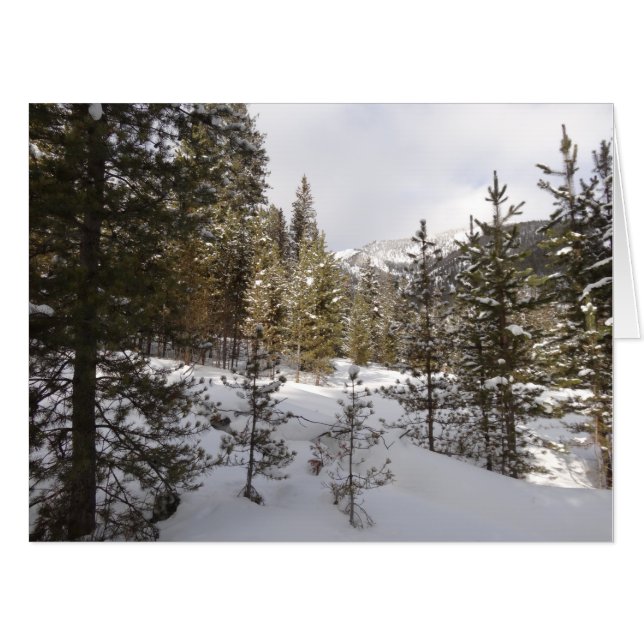 Winter Snowy Mountain Scene in Montana Card (Front Horizontal)