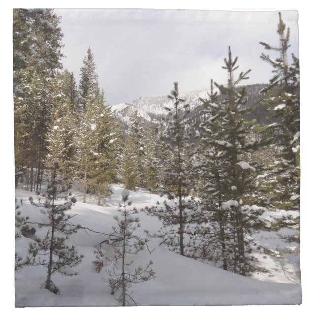 Winter Snowy Mountain Scene in Montana Cloth Napkin (Front)