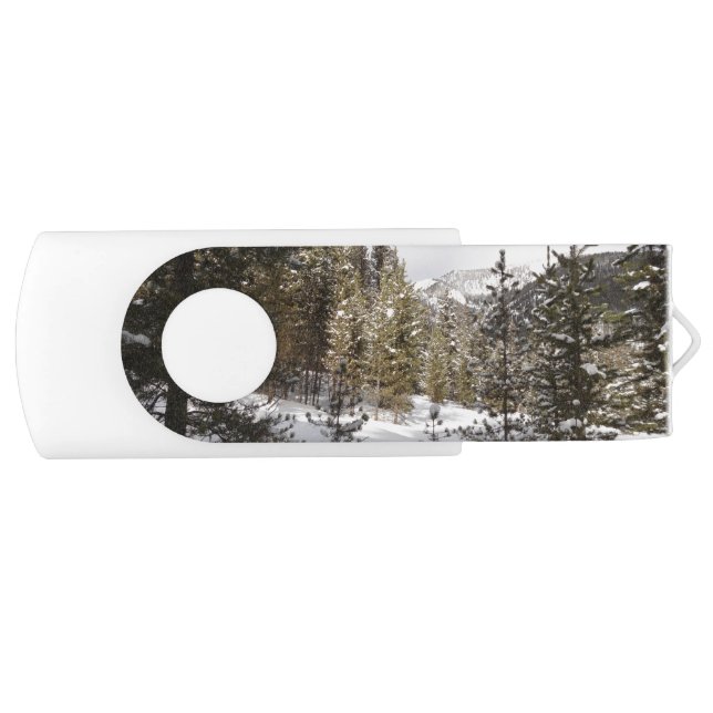 Winter Snowy Mountain Scene in Montana Flash Drive (Front)
