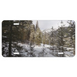 Winter Snowy Mountain Scene in Montana License Plate