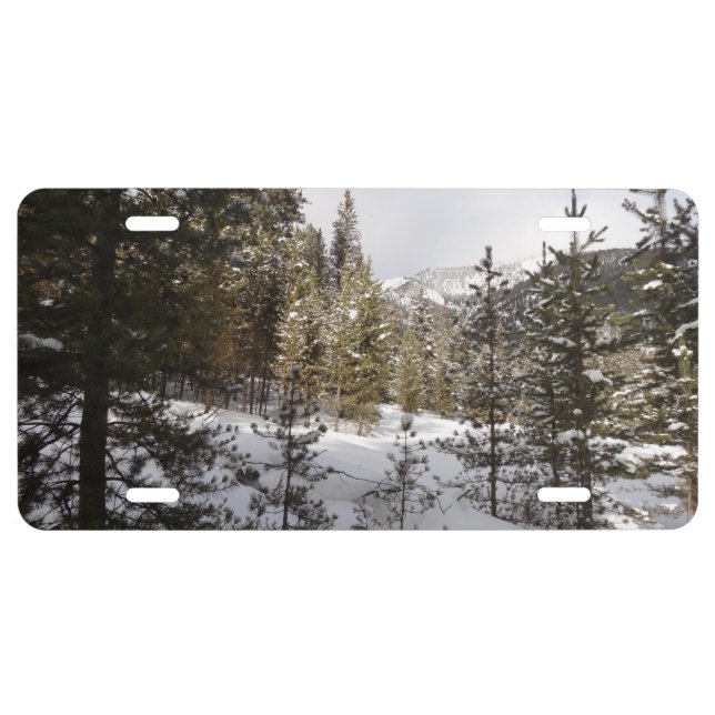 Winter Snowy Mountain Scene in Montana License Plate (Front)