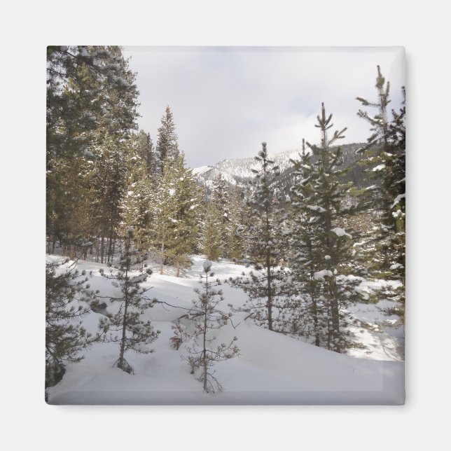 Winter Snowy Mountain Scene in Montana Magnet (Front)