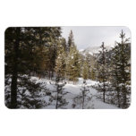Winter Snowy Mountain Scene in Montana Magnet