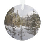 Winter Snowy Mountain Scene in Montana Ornament
