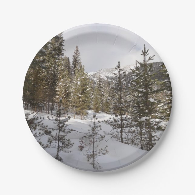 Winter Snowy Mountain Scene in Montana Paper Plates (Front)