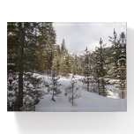 Winter Snowy Mountain Scene in Montana Paperweight
