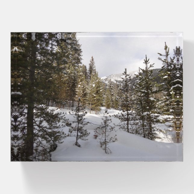 Winter Snowy Mountain Scene in Montana Paperweight (Front)