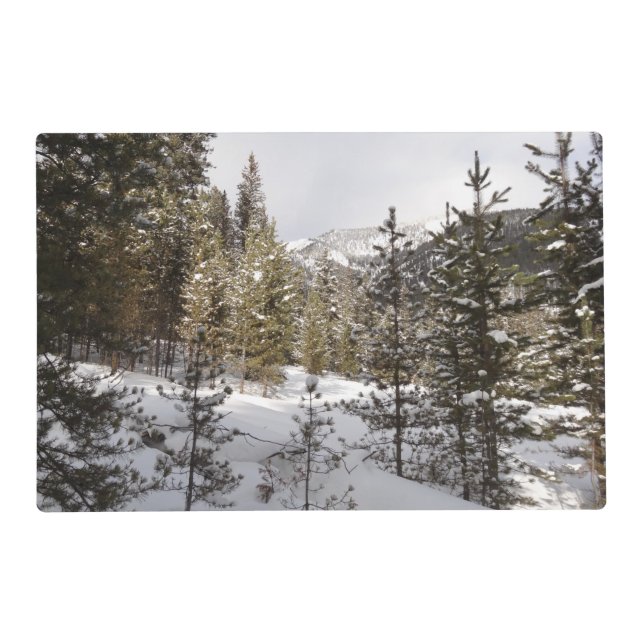 Winter Snowy Mountain Scene in Montana Placemat (Front)