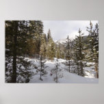 Winter Snowy Mountain Scene in Montana Poster