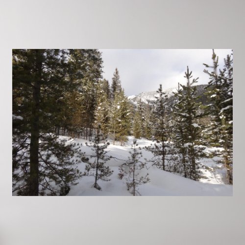 Winter Snowy Mountain Scene in Montana Poster