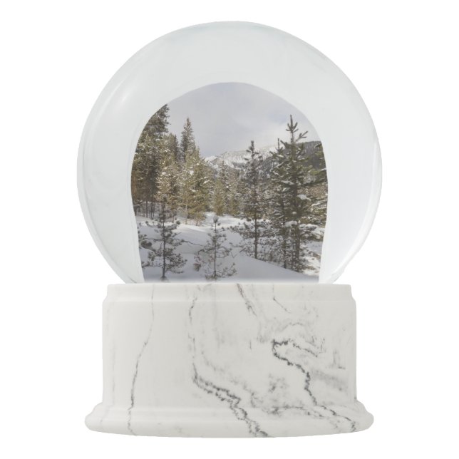 Winter Snowy Mountain Scene in Montana Snow Globe (Front)