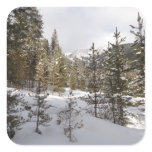 Winter Snowy Mountain Scene in Montana Square Sticker