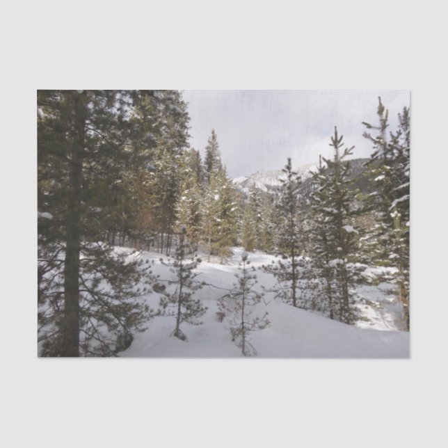 Winter Snowy Mountain Scene in Montana Tissue Paper (Front)