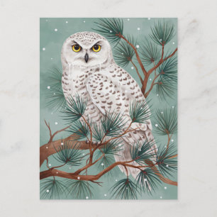 Winter Snowy Owl in Pine Tree Art Postcard