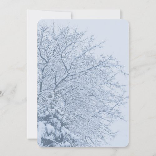 Winter Snowy Tree Branches Invitation