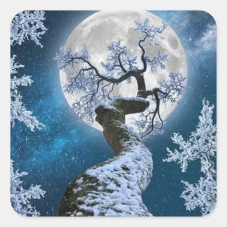 winter snowy woodland full moon square sticker