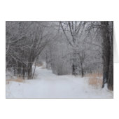 Winter Solitude (Front Horizontal)