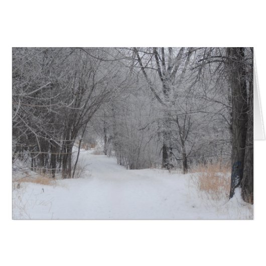 Winter Solitude (Front Horizontal)