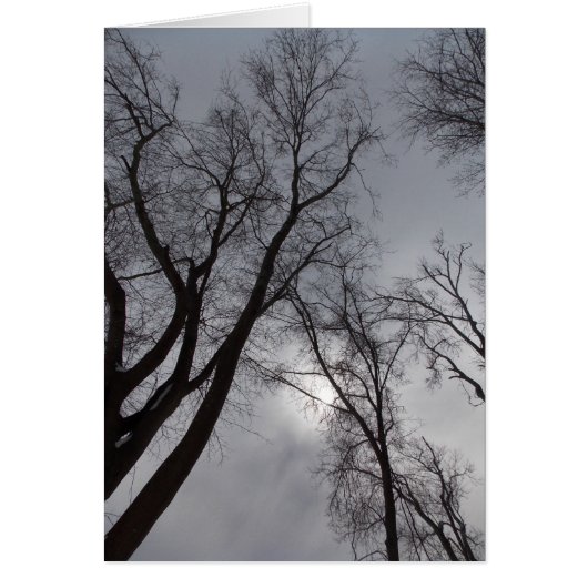 Winter Solitude Cards (Front)